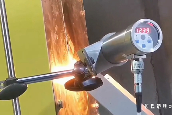 中频污污污草莓视频成人炉厂